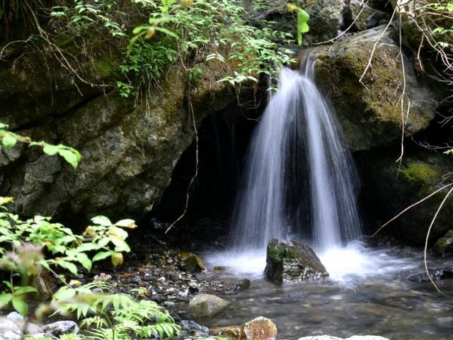 黑道圣徒4
